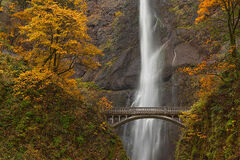 "Multnomah"