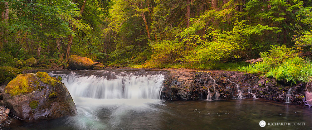 The quietness and solitude of a small cascade deep in the Eagle Creek drainaige along the Colubmbia River Gorge, Oregon.