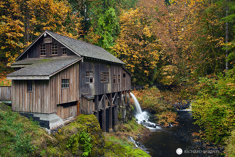 Late fall color decorates the old Grist Mill along Cedar Creek in Southwest Washington.&nbsp;&nbsp;The Cedar Creek Grist Mill...