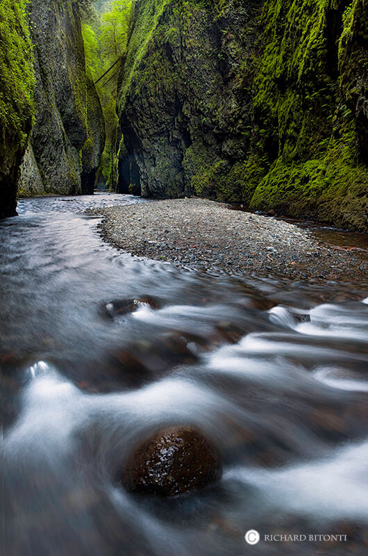This image is a narrow slot canyon in the Columbia River Gorge identified as Oneonta Gorge. To capture this image, the photographer...
