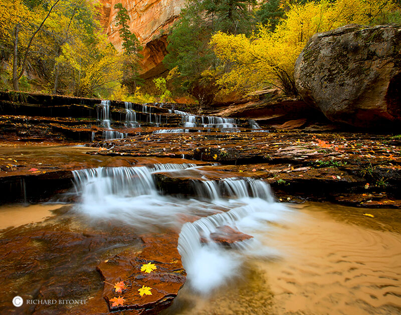 Fall color accents this beautiful cascade deep in the heart of Zion National Park. The Archangel Cascades are a series of cascades...